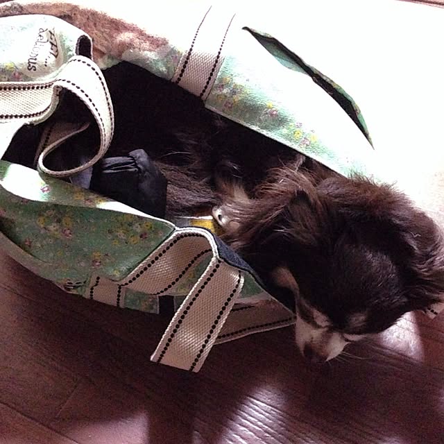 heboraさんの実例写真