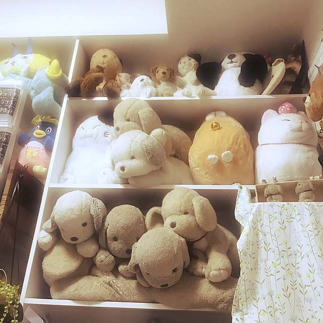 tsugucatさんの実例写真
