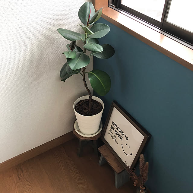 pirokoさんの実例写真