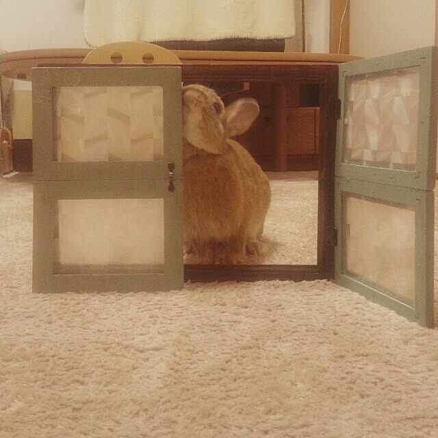 lc.leemさんの実例写真