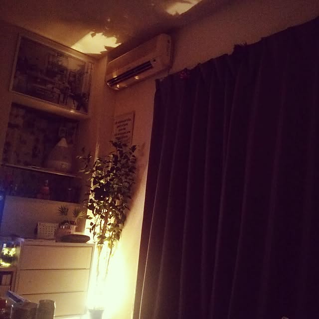 Yukariさんの実例写真