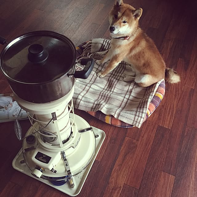 mitubachiさんの実例写真