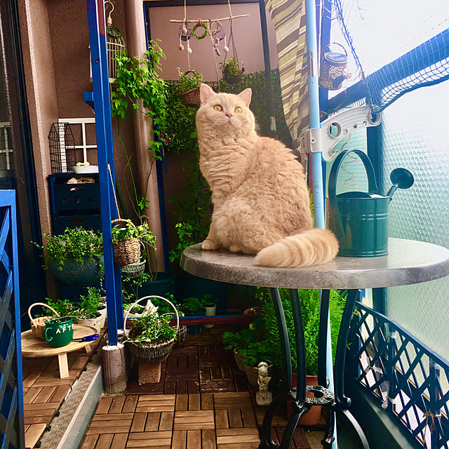 naokoさんの実例写真