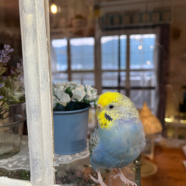 Atsukoさんの部屋