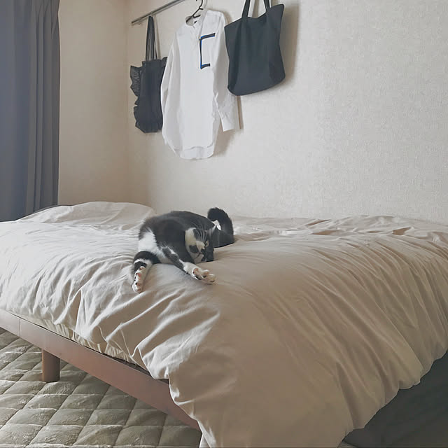 hakuさんの実例写真