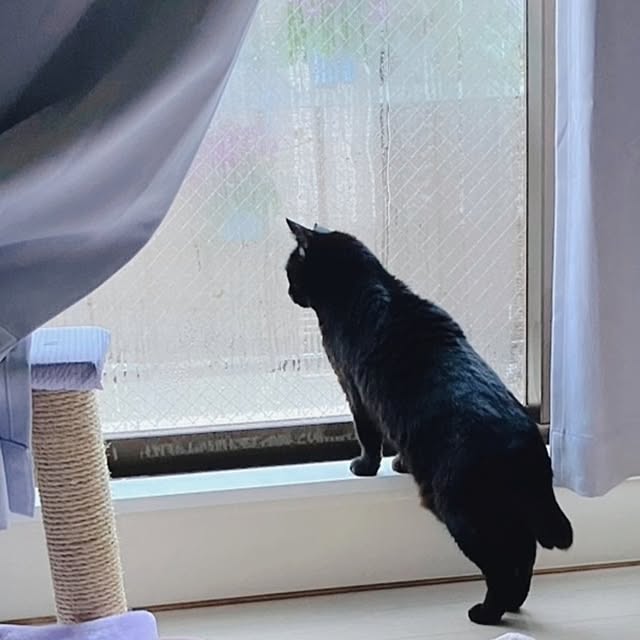 moko.7525himeさんの部屋