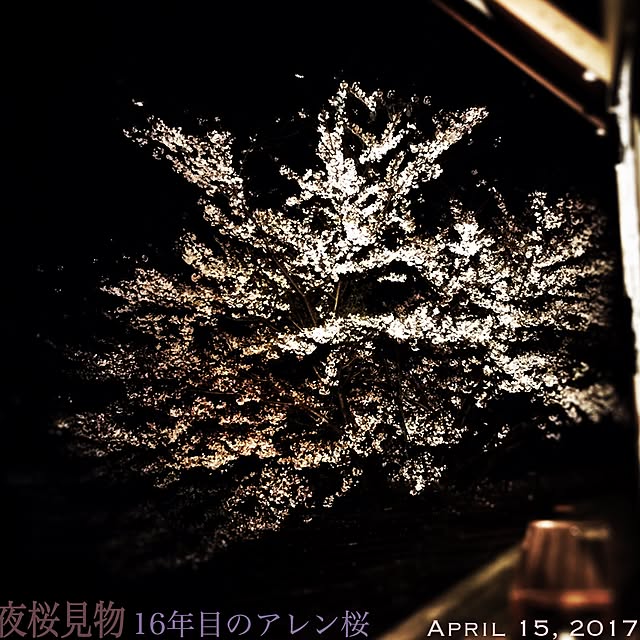 LEEさんの実例写真