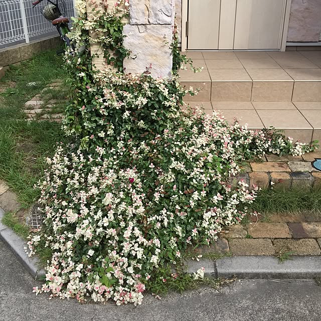 TAKAさんの実例写真