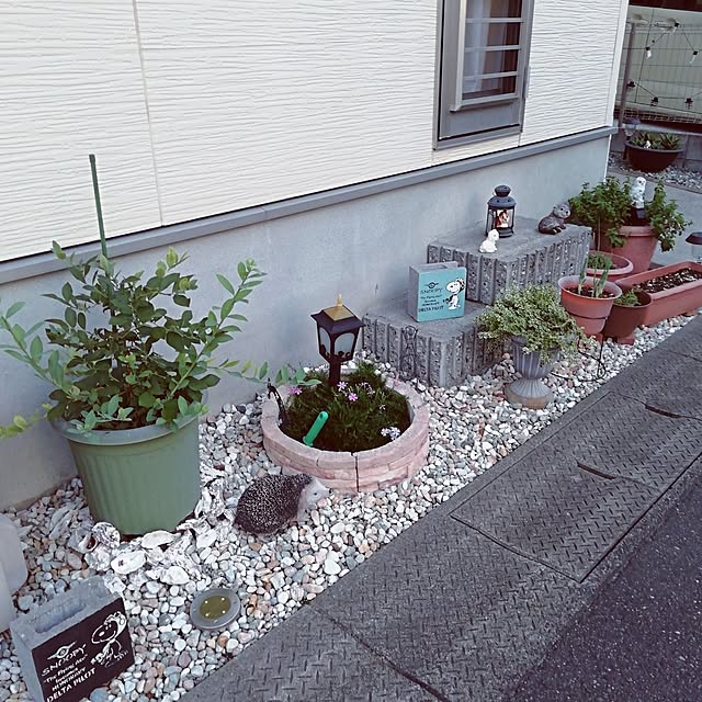 G.Mさんの部屋