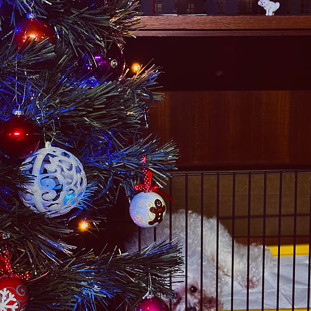 chacoさんの部屋