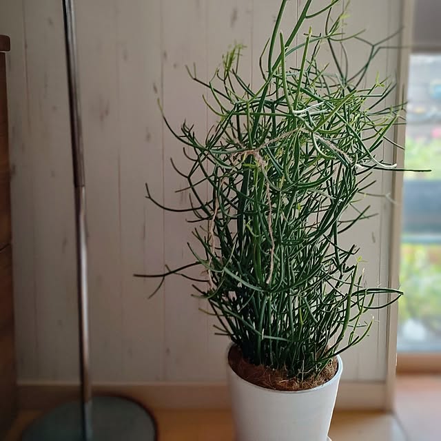 teamoさんの部屋