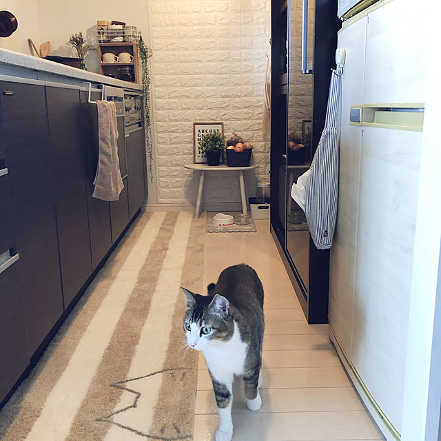 nekomiさんの実例写真