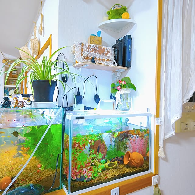 mariaさんの部屋