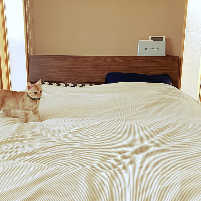 m.k.mさんの実例写真