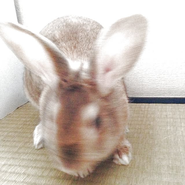 Reさんの実例写真