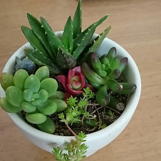 15417さんの実例写真