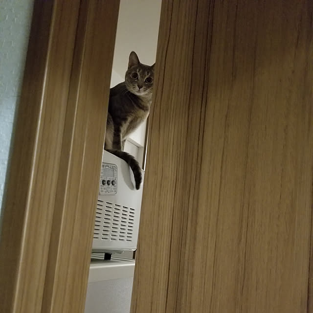 yukiさんの実例写真
