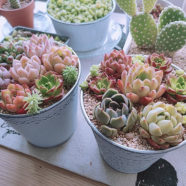 cocomintさんの実例写真