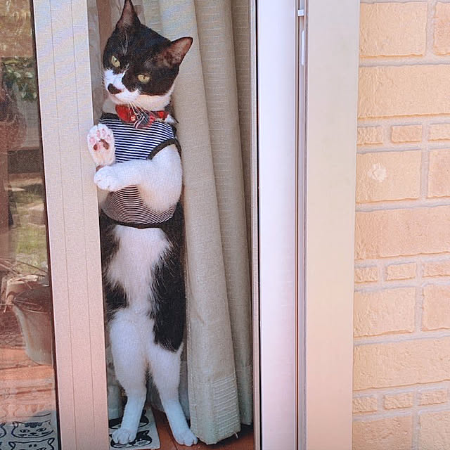 moolさんの実例写真
