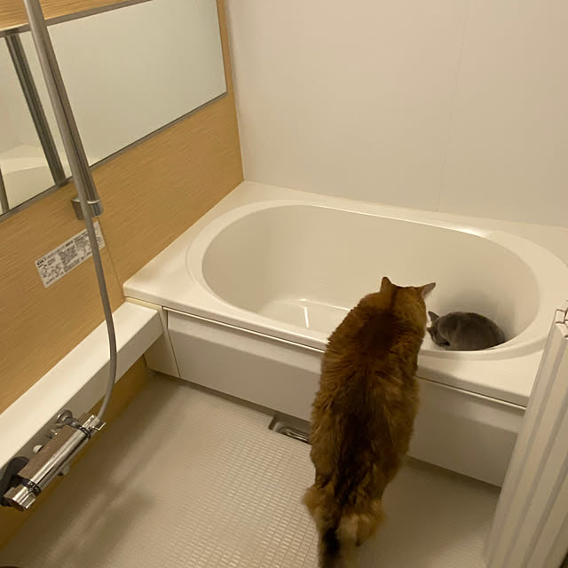 meさんの実例写真