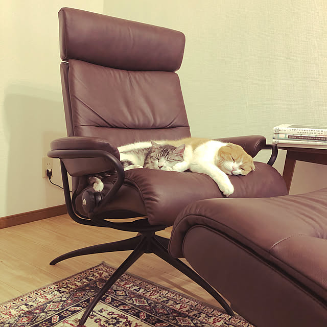 nekosikaさんの実例写真
