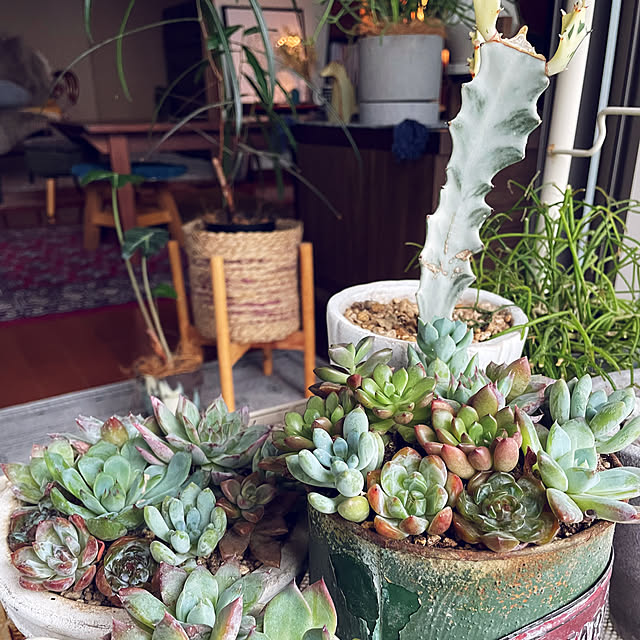 miyamiyaさんの実例写真