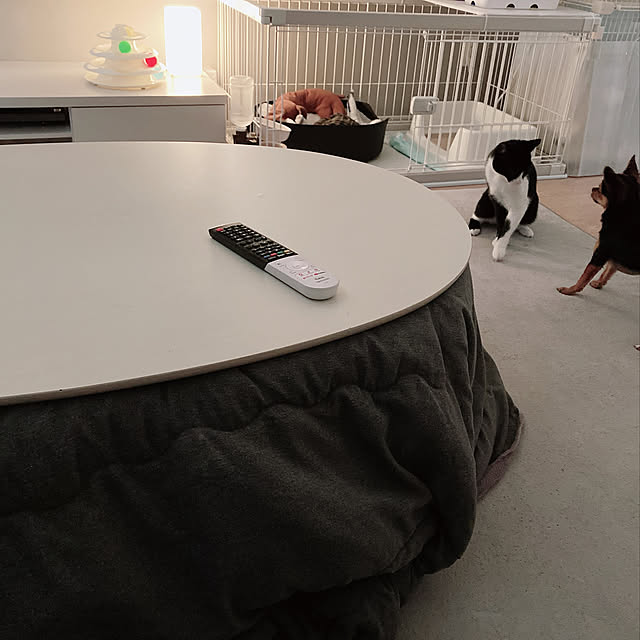 机のインテリア実例 - 2021-03-12 16:42:16