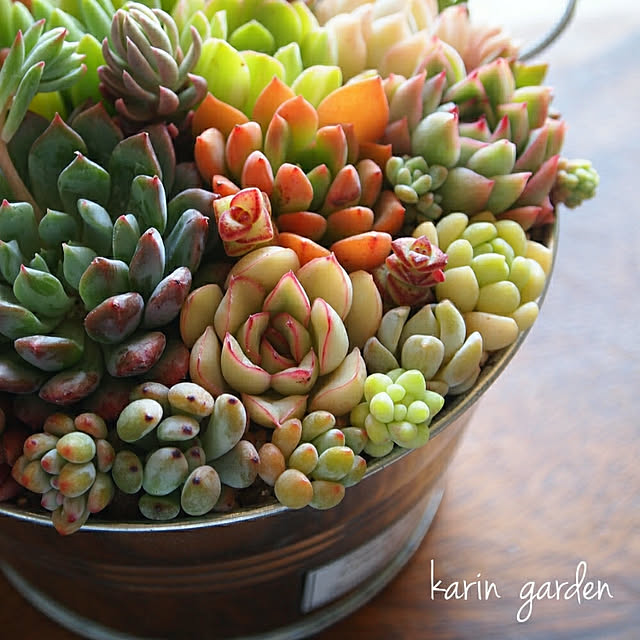 karinさんの実例写真
