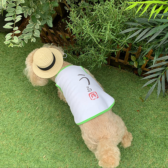 yukarimamaさんの実例写真
