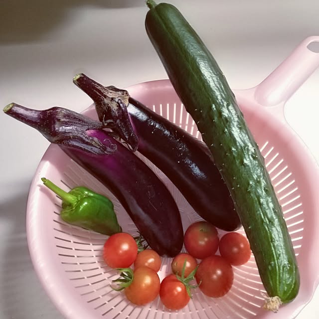 mocomocoさんの実例写真