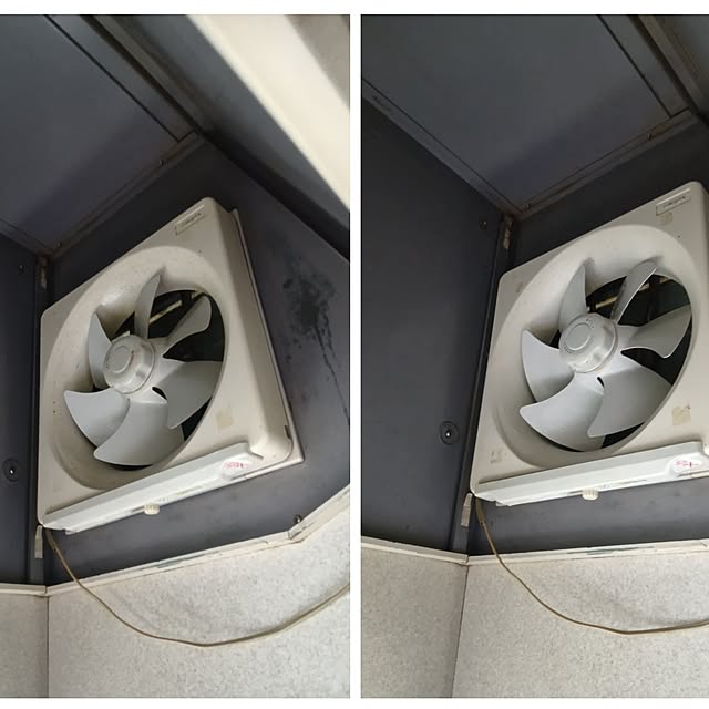 Spicaさんの部屋