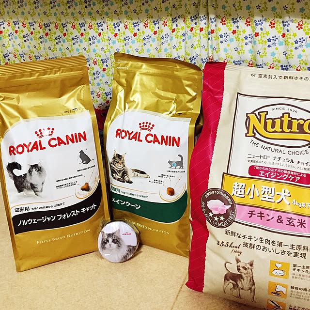neco7さんの実例写真