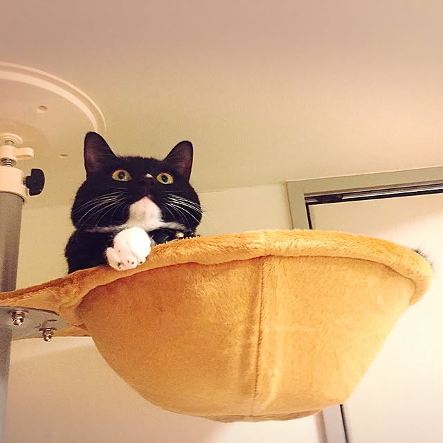 Nawさんの実例写真
