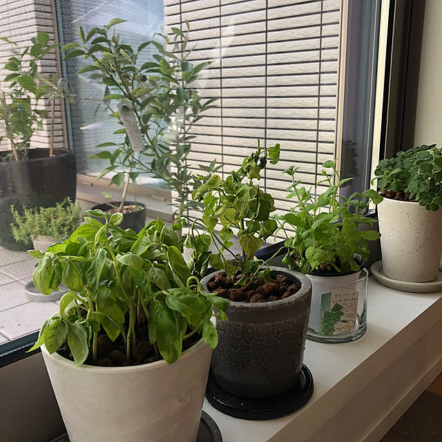 Rororiさんの部屋