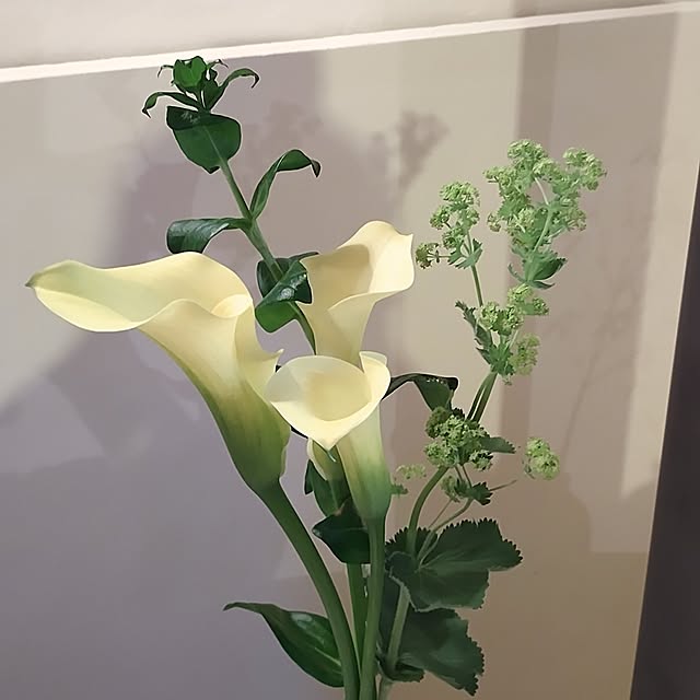 t.yumiさんの部屋
