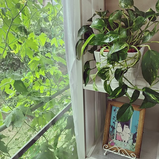 katさんの実例写真
