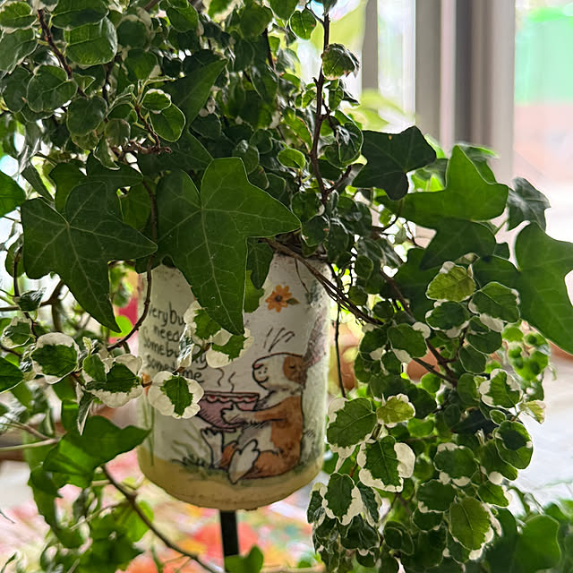 Aqettyさんの部屋