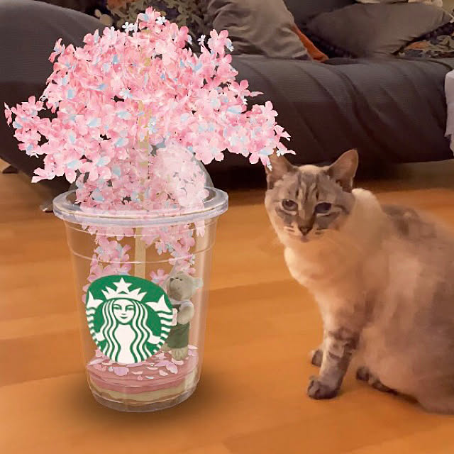 bonobono54さんの実例写真