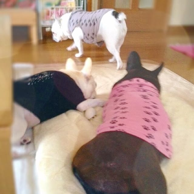 38coreさんの実例写真