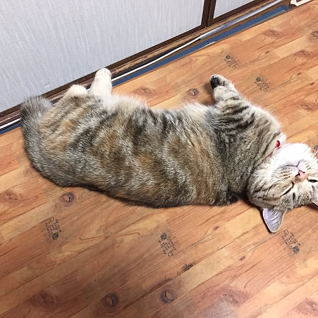 keibooさんの実例写真