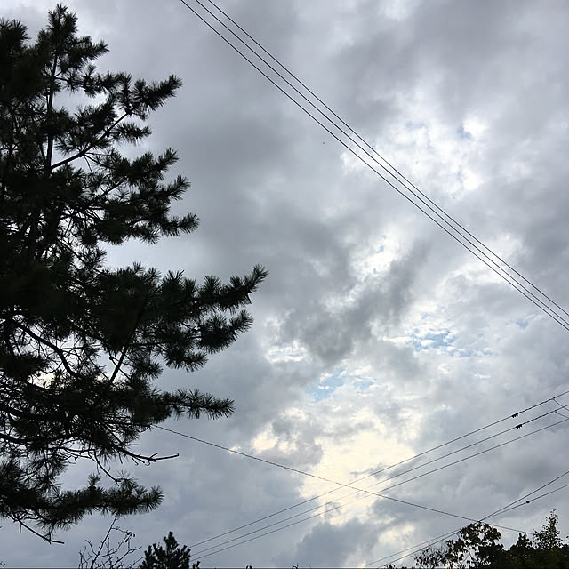 kakoさんの実例写真