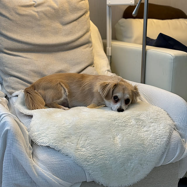 Rainyさんの部屋
