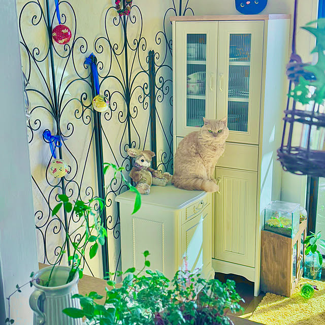 naokoさんの実例写真