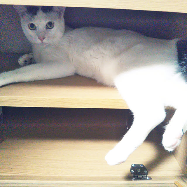 yukieさんの実例写真