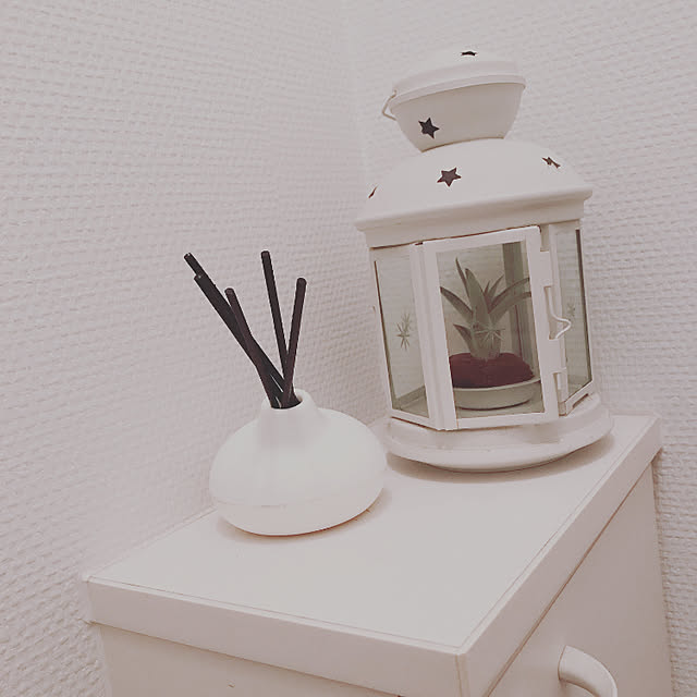 観葉植物/IKEA/バス/トイレのインテリア実例 - 2020-01-09 23:17:47