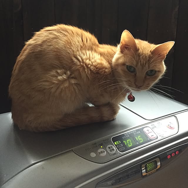 nakamuさんの実例写真
