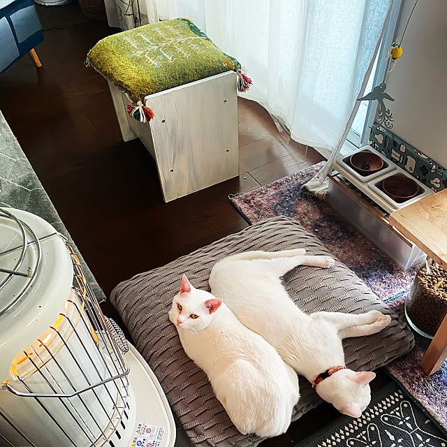 hanaさんの実例写真