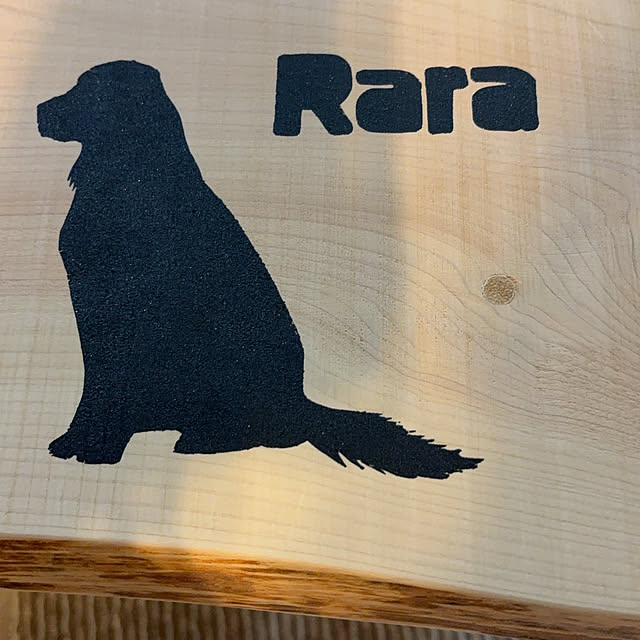 Mutsumiさんの部屋