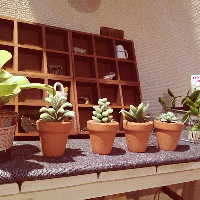 Maiさんの実例写真