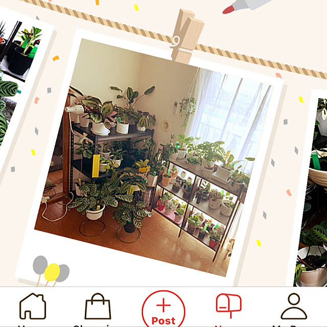 実例写真